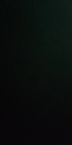 A0a3ae685588444afac9eac60c90fb9f8N.jpg